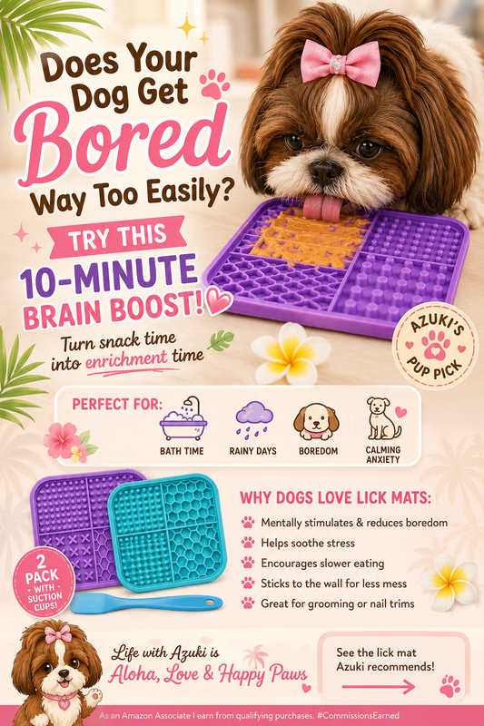 7 Easy Ways to Keep Your Dog Entertained at Home When They're Bored 🐾