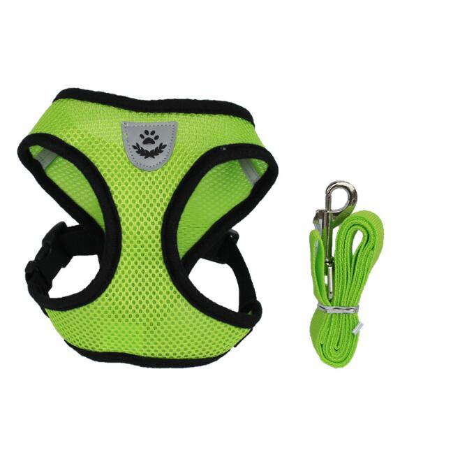 Pet Comfort Ride Leash And Seat Belt Combo-15