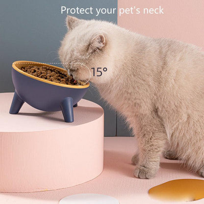 Stylish Paws Nordic Color Pet Feeding Bowl With Stand-4