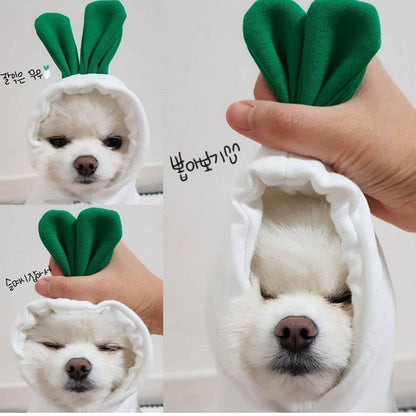 Cozy Love Sweater: Adorable Autumn And Winter Clothing For Small And Medium Dogs-1