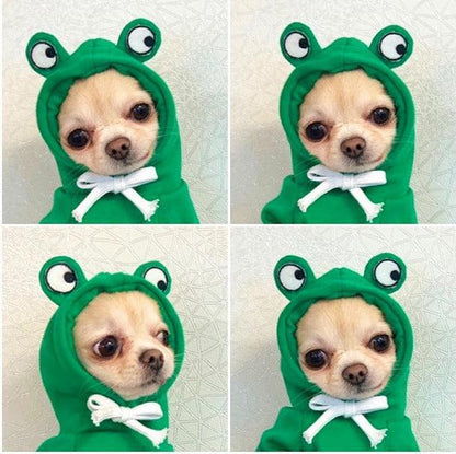 Cozy Love Sweater: Adorable Autumn And Winter Clothing For Small And Medium Dogs-7
